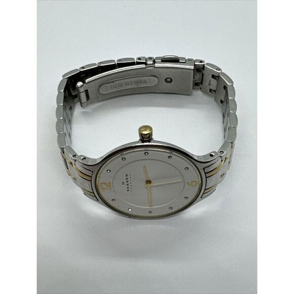 Skagen SKW2255 Women\'s Two-Tone Stainless Steel Analog Dial Quartz Watch JNA446 main image 7